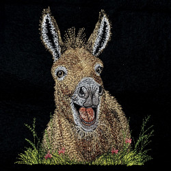 Funny Grinning Donkey Face