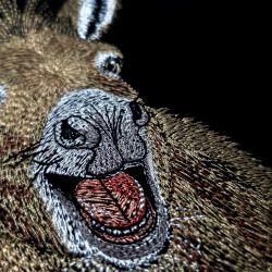 Funny Grinning Donkey Face
