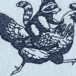 Funny Raccoon Chicken Ride