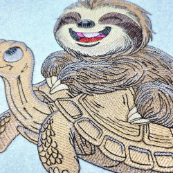Funny Sloth Riding Turtle