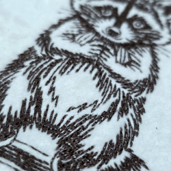Gentle Woodland Raccoon