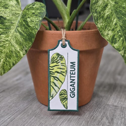 Giganteum ITH Plant Tag