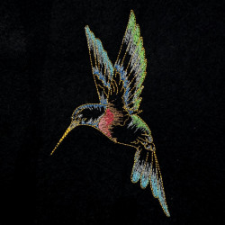 Graceful Hummingbird