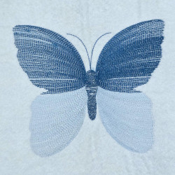 Gradient Wings Blending Butterfly