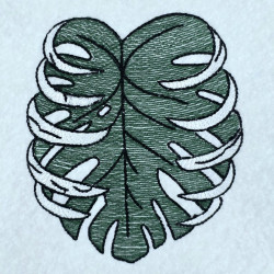 Green Monstera Leaf
