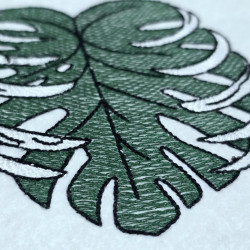 Green Monstera Leaf