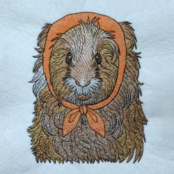 Guinea Pig In Red Hood
