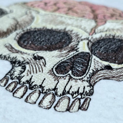 Halloween Skull Cup With Brain