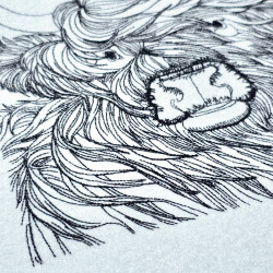 Highland Cow Line Art