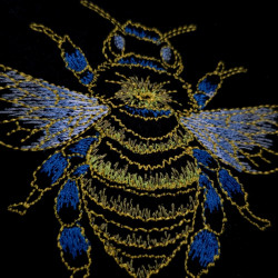 Honey Bee