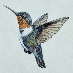 Hummingbird Design