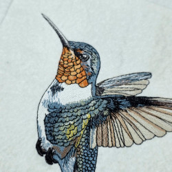 Hummingbird Design