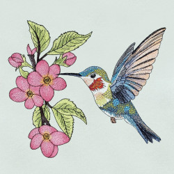 Hummingbird With Flowers