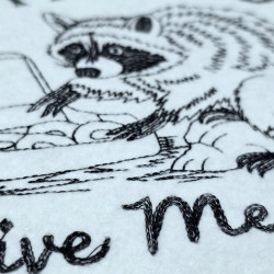 If Im Moody Give Me Foody Raccoon Quote