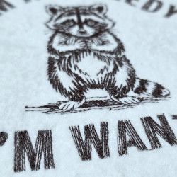 I'm Not Needy I'm Wanty Raccoon Quote