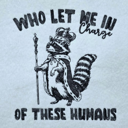 King Raccoon Humorous Quote