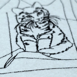 Kitten In Paper Bag Line Art