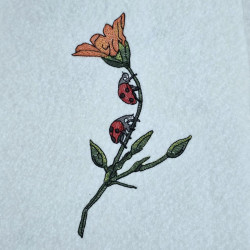 Ladybug On Flower Stem