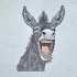 Laughing Donkey