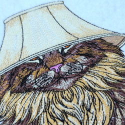 Lion Wearing A Lampshade