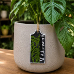 M.Adansonii ITH Plant Tag