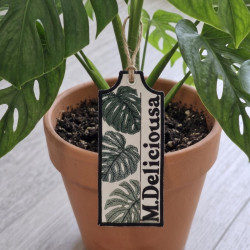 M.Deliciousa ITH Plant Tag