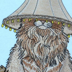 Maine Coon Cat Wearing A Lampshade