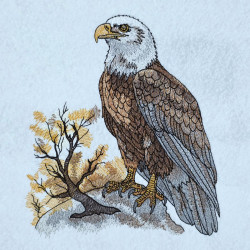 Majestic Eagle With Tree