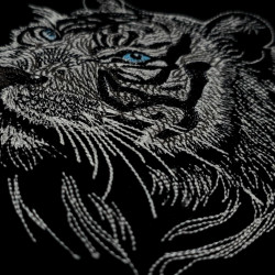 Majestic Tiger Portrait