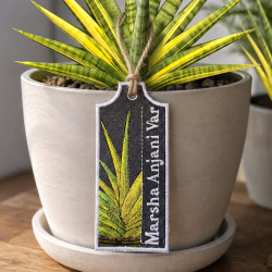 Marsha Anjani Var ITH Plant Tag