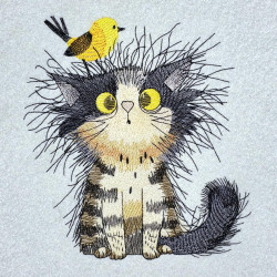 Morning Cat And Bird