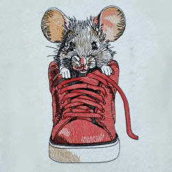 Mouse In A Shoe