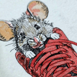 Mouse In A Shoe