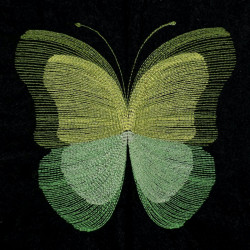 Multicolor Wings Blending Butterfly