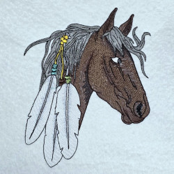 Native Horse With Feathers