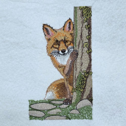 Nosy Peeking Red Fox