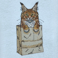 Orange Cat In A Paper Bag