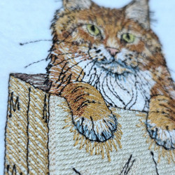 Orange Cat In A Paper Bag