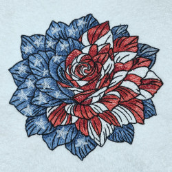Patriotic Rose Bloom
