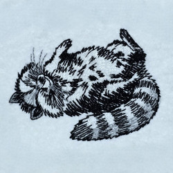 Peaceful Sleeping Raccoon