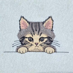 Peeking Cat Face Straight View