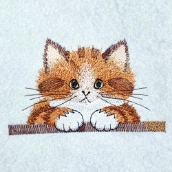 Peeking Cat Rounded Face