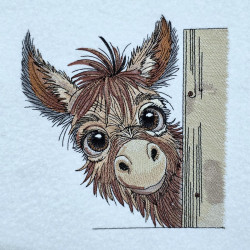 Peeking Donkey