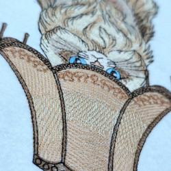 Persian Cat With lamp On Head