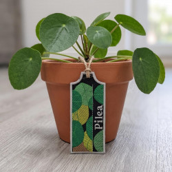 Pilae ITH Plant Tag