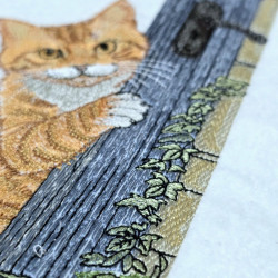 Playful Ginger Peeking Cat