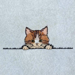 Playful Peeking Cat Face