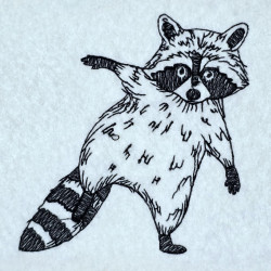 Playful Raccoon Pose