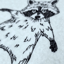 Playful Raccoon Pose