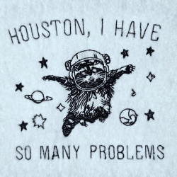 Problematic Astronaut Raccoon Quote